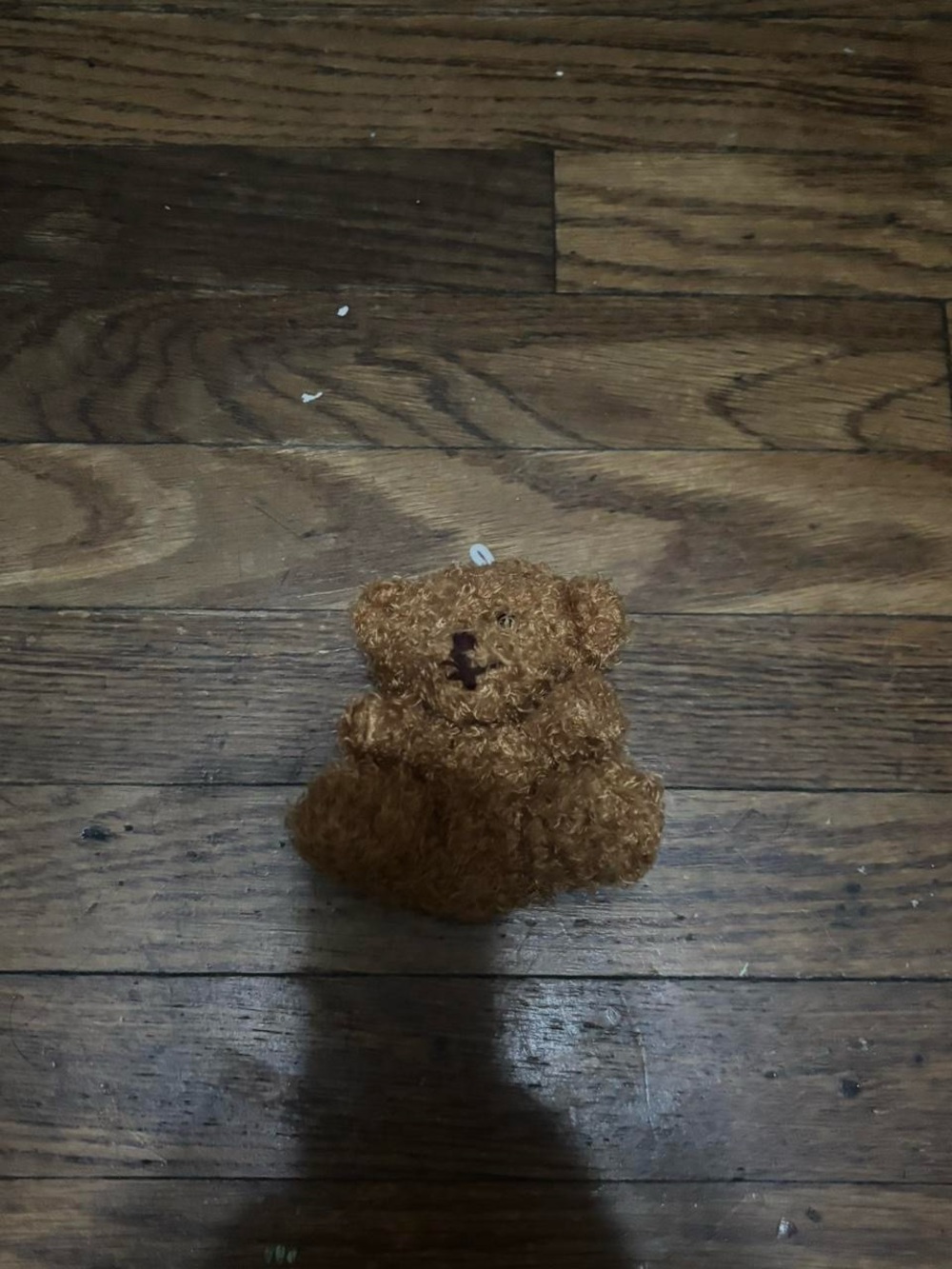 mini bear plush